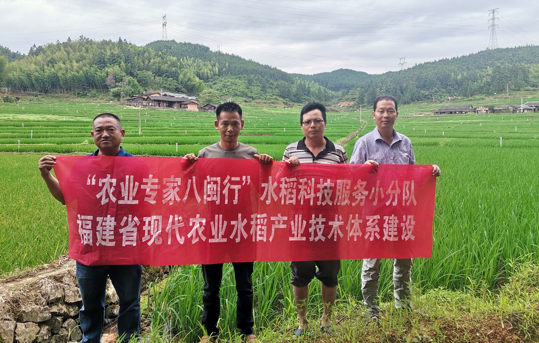 水稻所：产业体系成员到尤溪县管前镇开展灾后科技服务