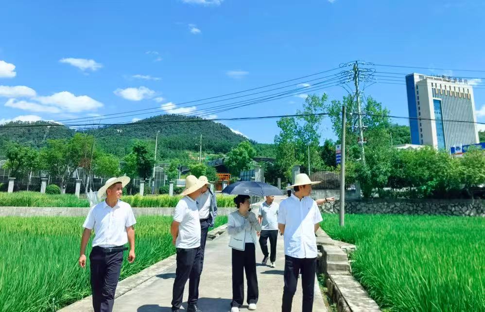 崖州湾国家实验室吕慧颖副部长一行来明调研