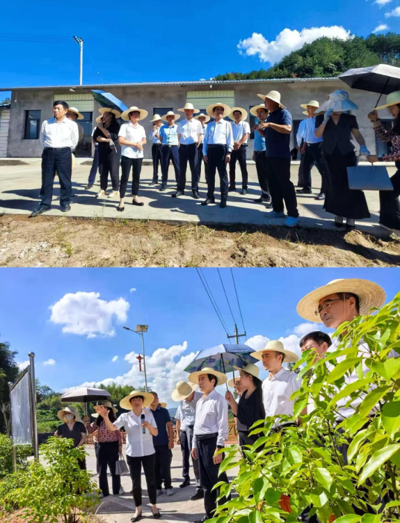 深化产学研合作！黄河实验室首个工作站落地三明