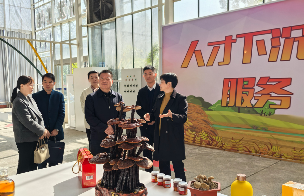 省科技厅副厅长叶碧海一行莅临我院调研指导