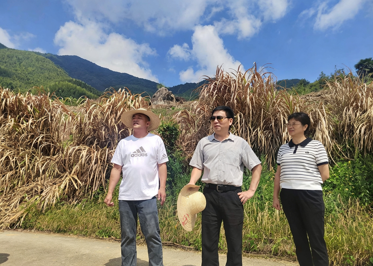 实地调研察实情 建言献策谋发展 ——我院调研组下沉镇村谋划特色产业发展