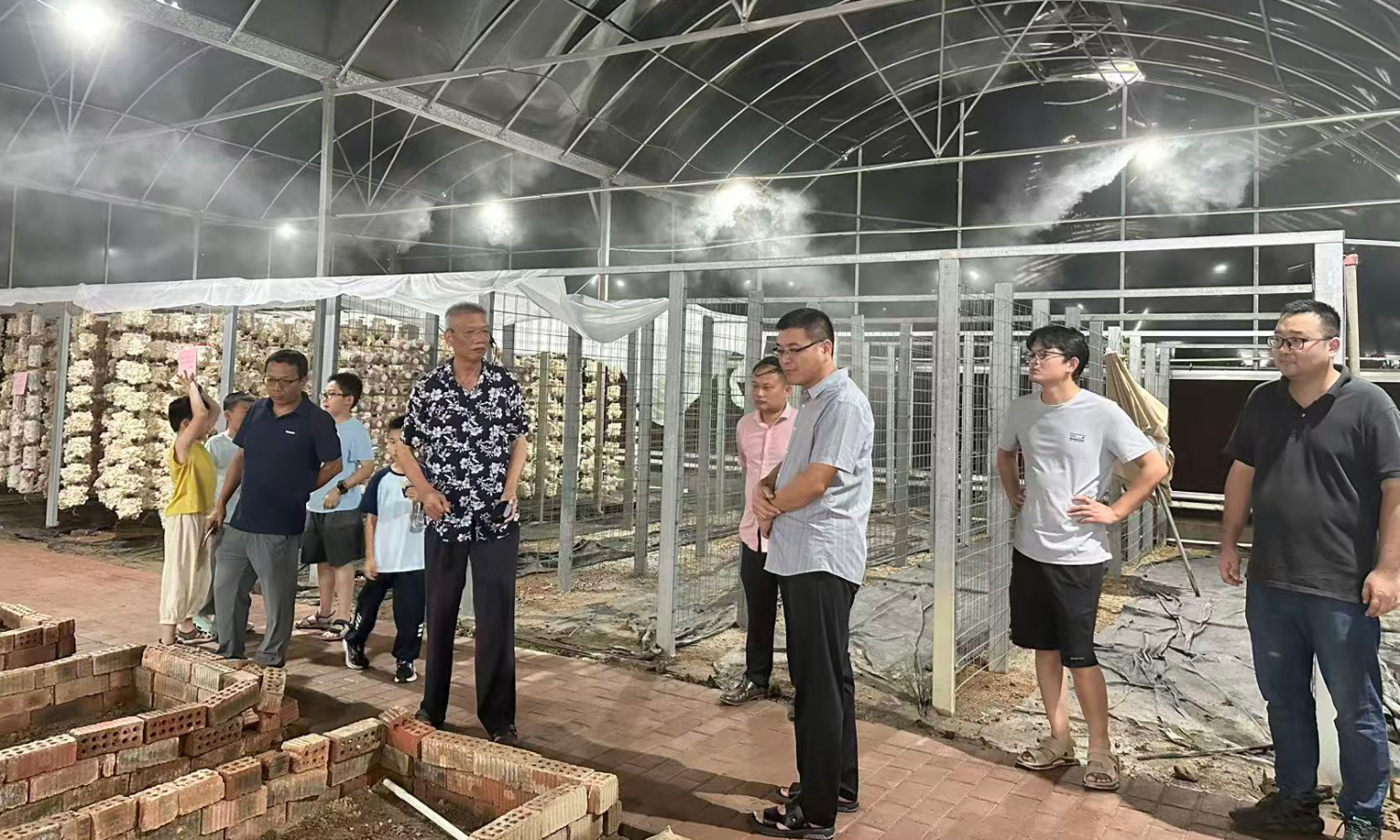品种选育初见成效，反季节栽培助力产业提质增效