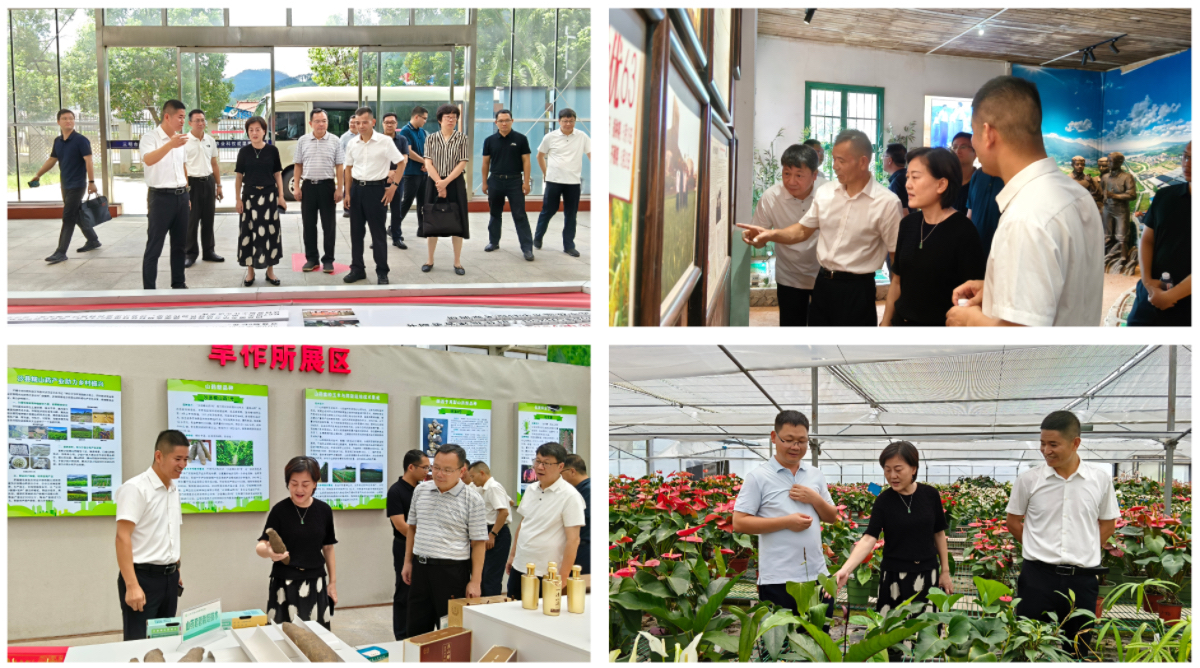 市人大常委会到我院调研科创 产业融合发展情况