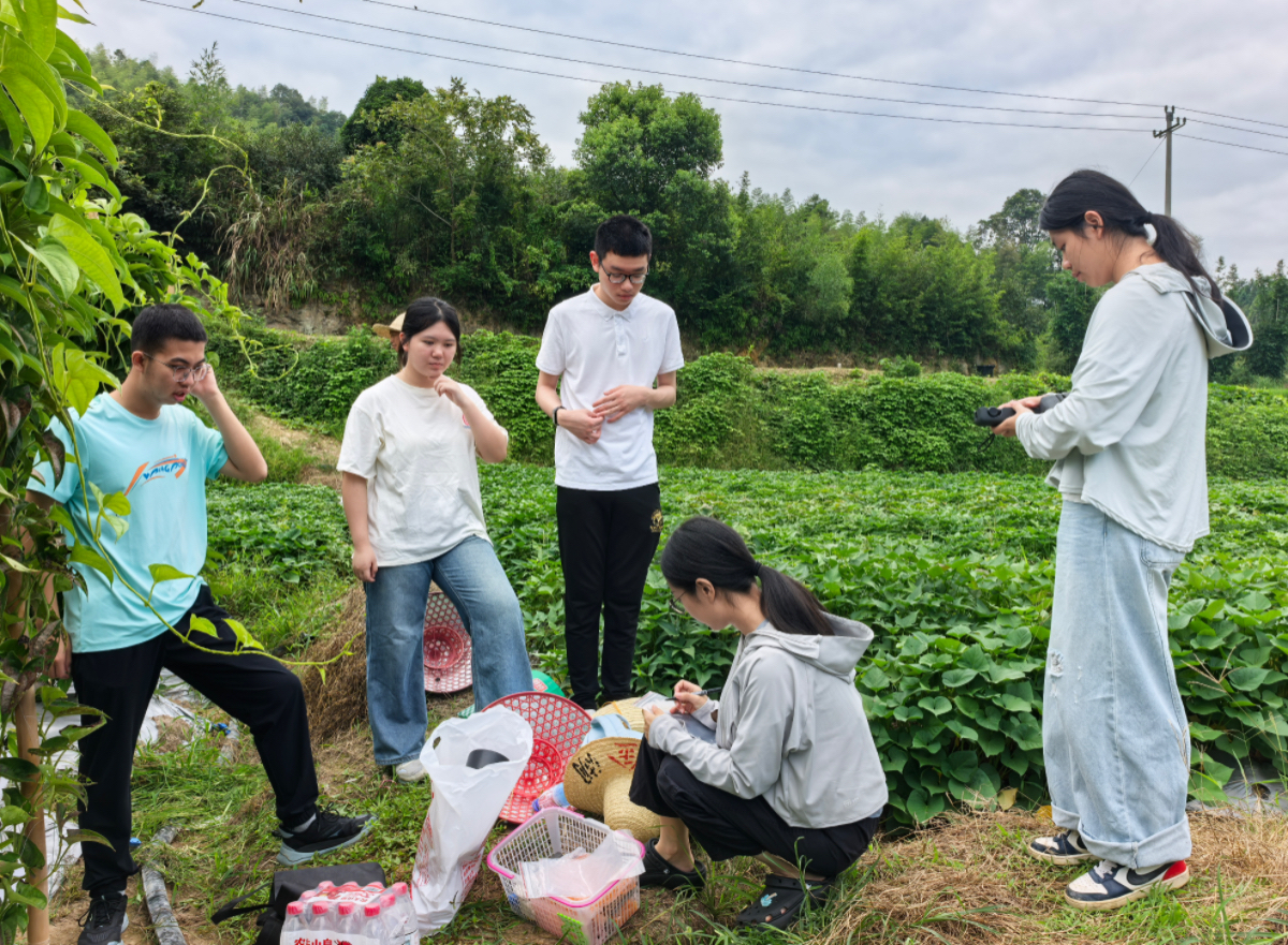 旱作所：开展暑期社会实践  以科技助力青少年成长